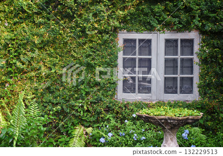 Natural style architecture with white windows on green walls with climbing plants decorated with classic potted plants. Natural style architecture with white windows on green walls with climbing plants decorated with classic potted plants. 132229513