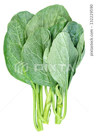 Fresh green Chinese broccoli (Gai Lan) stalks with vibrant, textured leaves, arranged vertically. Healthy, organic Asian vegetable, perfect for cooking and diet concepts. Fresh green Chinese broccoli (Gai Lan) stalks with vibrant, textured leaves, arranged vertically. Healthy, organic Asian vegetable, perfect for cooking and diet concepts. 132229590