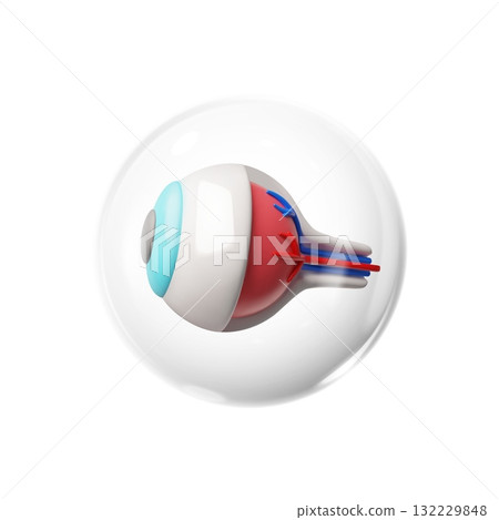 3D human eye, side view, with blood vessels, in a protective round transparent bubble. 132229848