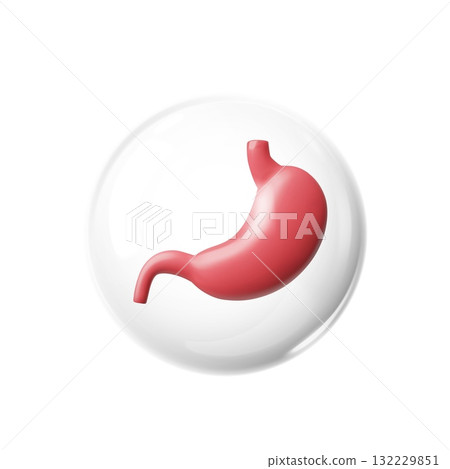 3D realistic human stomach in protective sphere, anatomy science, vector digestive system internal organ health care 132229851