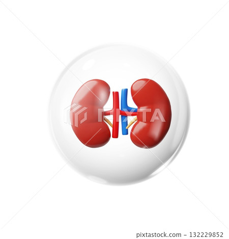 3D human kidneys in a protective bubble, isolated icon. 132229852