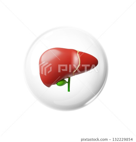 3D realistic model of human liver in protective sphere, anatomy science, vector hepatic system internal organ healthcare 3D realistic model of human liver in protective sphere, anatomy science, vector hepatic system internal organ healthcare 132229854
