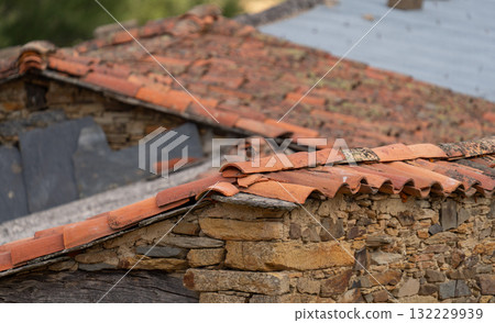 Rustic Stone and Tile Roof with Tiny Bird Rustic Stone and Tile Roof with Tiny Bird 132229939