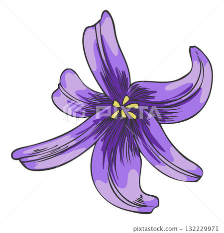 Hyacinth flower sketch vector illustration, hand drawn spring purple bud blossom plant, blooming herb, botanical design 132229971