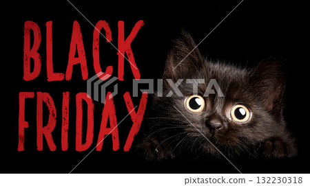 An adorable and surprised Black Cat is featured for an exciting Black Friday Sale event 132230318