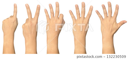 Hand showing one to five on transparent background cutout, PNG file. Mockup template for artwork design. Number sign gestures concept Hand showing one to five on transparent background cutout, PNG file. Mockup template for artwork design. Number sign gestures concept 132230509