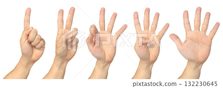 Hand showing one to five on transparent background cutout, PNG file. Mockup template for artwork design. Number sign gestures concept 132230645