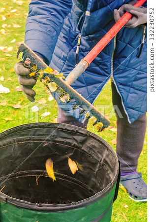 Person Collecting Autumn Leaves with Rake and Garden Bag During Seasonal Yard Cleanup Person Collecting Autumn Leaves with Rake and Garden Bag During Seasonal Yard Cleanup 132230752