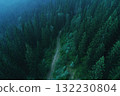 Forest trail cuts through thick trees, showcasing vibrant green forest and calm vibe. Great for outdoor and nature themes. 132230804