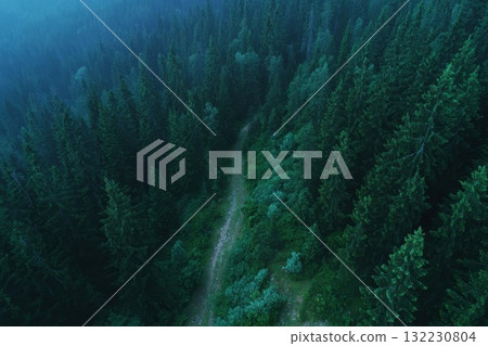 Forest trail cuts through thick trees, showcasing vibrant green forest and calm vibe. Great for outdoor and nature themes. 132230804