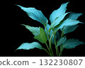 Tropical leaves green black background. Vibrant blue green leaves stand out against dark backdrop, perfect for nature or decor themes. 132230807
