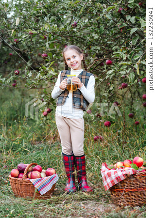 Harvesting apples in the garden. A little girl is having fun in apple orchard with red apple in her hands. Harvesting apples in the garden. A little girl is having fun in apple orchard with red apple in her hands. 132230941