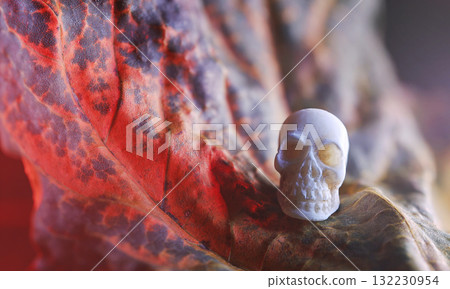 Miniature skulls background. Skull background 132230954