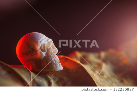 Miniature skulls background. Skull background Miniature skulls background. Skull background 132230957