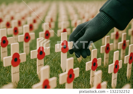 Armistice remembrance day with poppy crosses on grass, honoring fallen soldiers Armistice remembrance day with poppy crosses on grass, honoring fallen soldiers 132232252