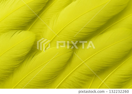 Chartreuse feathers background with monochrome lime tones, suitable for vibrant designs 132232260