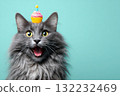 Cute Gray Cat With Cupcake Hat and Bright Yellow Eyes Smiles Against a Turquoise Background 132232469