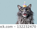 Cute Gray Cat With Cupcake Hat and Bright Yellow Eyes Smiles Against a Turquoise Background 132232470