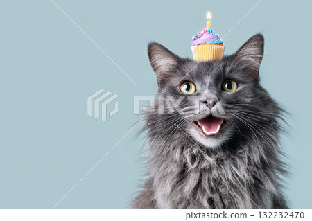 Cute Gray Cat With Cupcake Hat and Bright Yellow Eyes Smiles Against a Turquoise Background 132232470