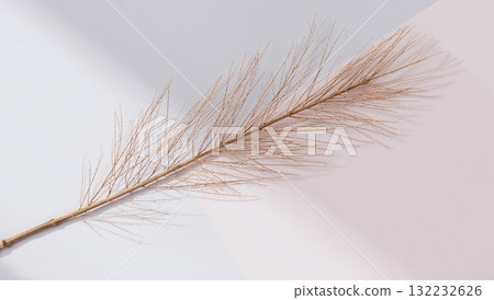 A brown leafy branch with many small brown spots 132232626