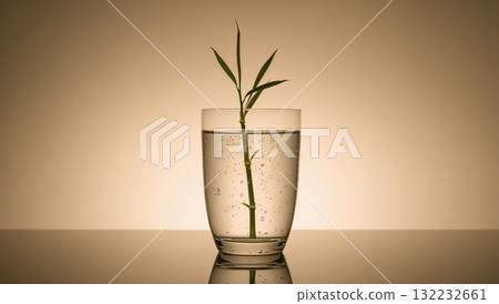 A glass of water with a small plant in it 132232661