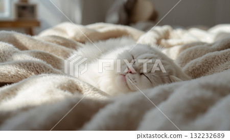 A white cat is sleeping on a bed with a blanket 132232689