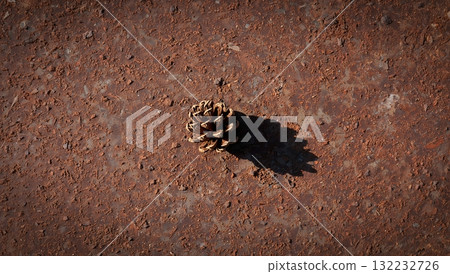 A small pine cone is sitting on a rocky surface A small pine cone is sitting on a rocky surface 132232726