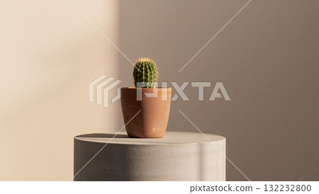 A small cactus plant is sitting in a pot on a grey pedestal 132232800