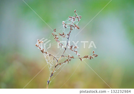 autumn landscape on foggy morning autumn landscape on foggy morning 132232984
