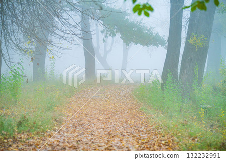 autumn landscape on foggy morning 132232991