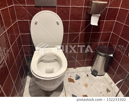Toilet, bin, and paper holder in restroom corner. Organization, hygiene, and practical interior arrangement in public bathroom space. 132233302
