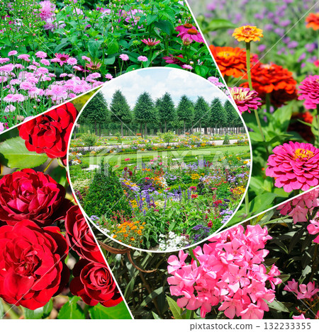 Floral Collage: A Beautiful Mix of Garden Flowers and a Central Park Scene. 132233355