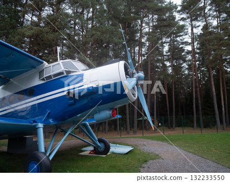 blue biplane nose facing pine trees, dual wings and radial engine resting on grass runway, weathered paint and rivets visible, static exhibition atmosphere with cloudy sky and quiet park 132233550