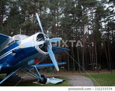 historic blue biplane resting among pine trees, classic blue biplane situated among pine trees at museum grounds, vintage blue biplane parked peacefully amidst towering pine trees at museum historic blue biplane resting among pine trees, classic blue biplane situated among pine trees at museum grounds, vintage blue biplane parked peacefully amidst towering pine trees at museum 132233554