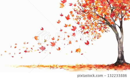 A tree with many leaves falling from it on white background. The leaves are orange and scattered all over the ground 132233886