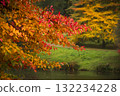 Autumn vibes of golden foliage over riverbank 132234228