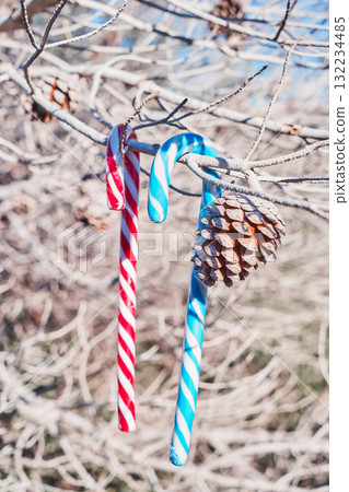 Striped candy canes and pine cone hanging on leafless branches outdoors in soft winter light, cheerful holiday detail 132234485