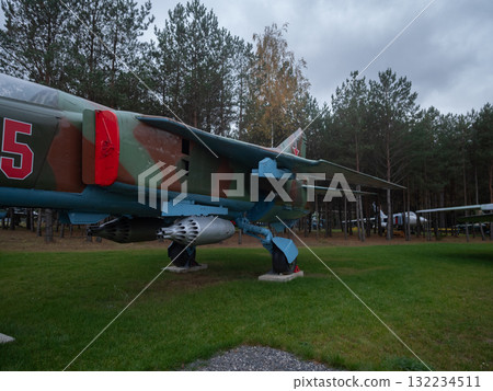 landing gear closeup under cloudy sky focusing on wheel, strut and nose assembly, gritty mechanical detail with bolts, hydraulics and worn paint in outdoor museum setting on grassy field 132234511