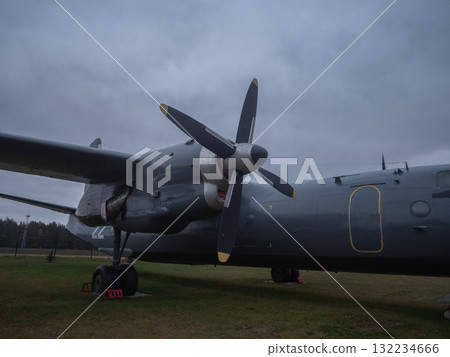 side view propeller and fuselage detail under cloudy sky, visible rivets and panels, worn paint and metal texture suggest long service life and active preservation project 132234666
