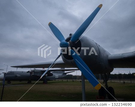 front view of twin aircraft propeller showing perspective of two grounded transports under cloudy sky, museum exhibition feel with grass foreground, static display and restored fuselage 132234690
