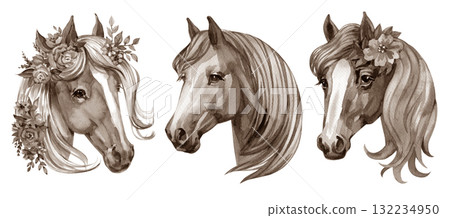 set of cute horse watercolor illustrations for printing on baby clothes, sticker, postcards, baby showers, games and books set of cute horse watercolor illustrations for printing on baby clothes, sticker, postcards, baby showers, games and books 132234950