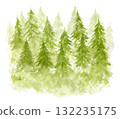 Bright green gradient watercolor illustration of textured coniferous fir forest. Misty evergreen watercolour pine trees print for winter Christmas design, poster, decor element, sticker 132235175