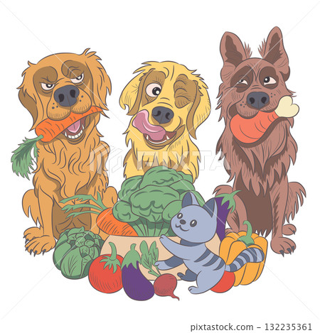 Dogs and cat with vegetables vector illustration Dogs and cat with vegetables vector illustration 132235361