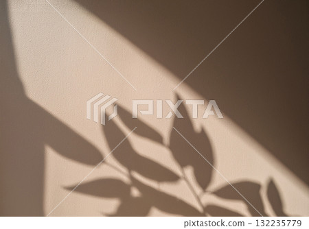 silhouette, siloette, wall 132235779