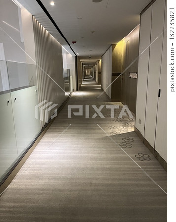 Hotel hallway 132235821