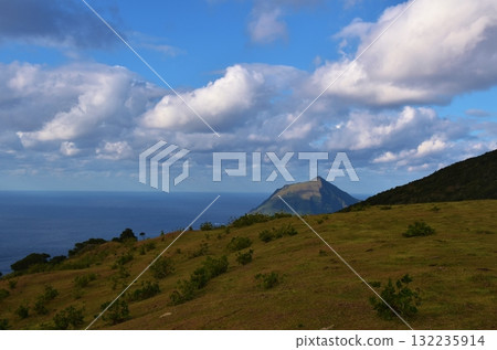 從東京親密牧場看八丈島小島 從東京親密牧場看八丈島小島 132235914