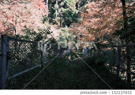 Scenery of an abandoned bridge 132235932