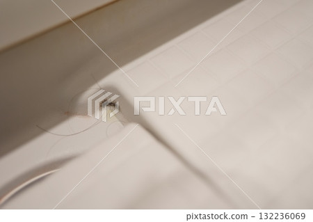 Black mold growing in the corner of the bathroom drain. Black mold growing in the corner of the bathroom drain. 132236069