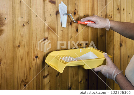 Applying mini roller with white paint moves across tongue and groove wall paneling, painter grips yellow tray and presses roller close to wood surface. Applying mini roller with white paint moves across tongue and groove wall paneling, painter grips yellow tray and presses roller close to wood surface. 132236305