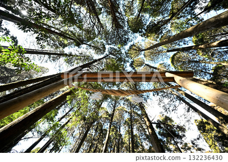 仰望山神社的鳥居 仰望山神社的鳥居 132236430